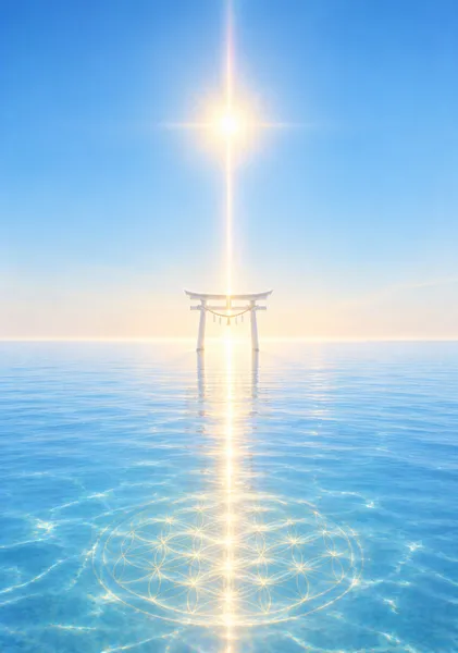 Solar Alignment  — Flower of Life - yasuyo