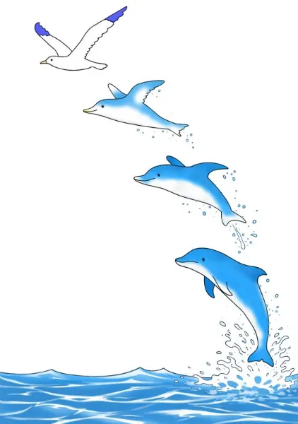 カモメになったイルカ - oto