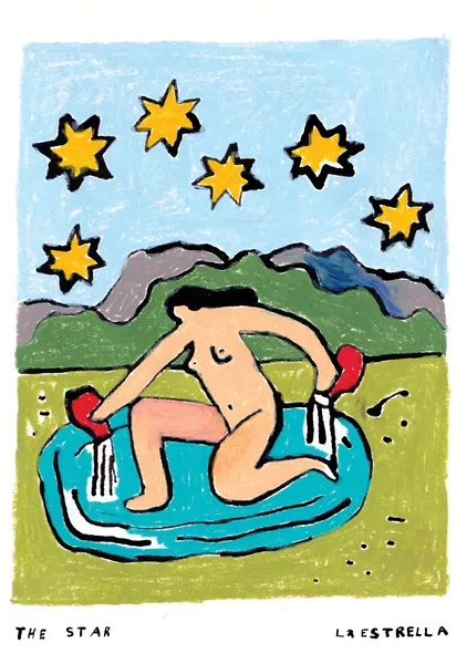 The Star - Ayala Meidan