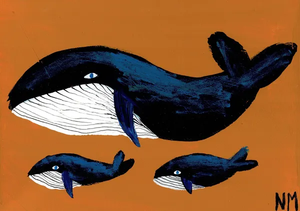 Two baby whales. - Nancy McKie