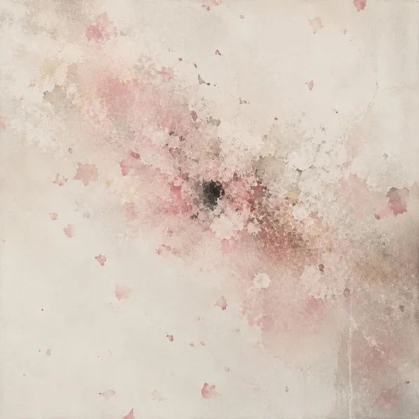 SAKURA-禅 - SAKURA