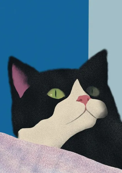 Whiskers & Blocks No. 01 - Little Dean