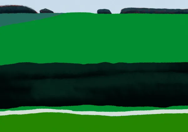 Vibrant Green Fields & Serene Horizon - Little Dean