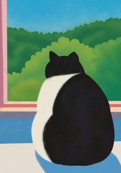 Black Cat by the Window - Little Dean
