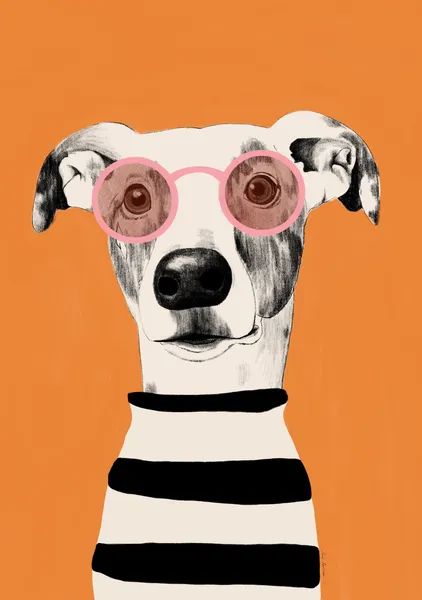 Dog in a striped sweater - El buen limon
