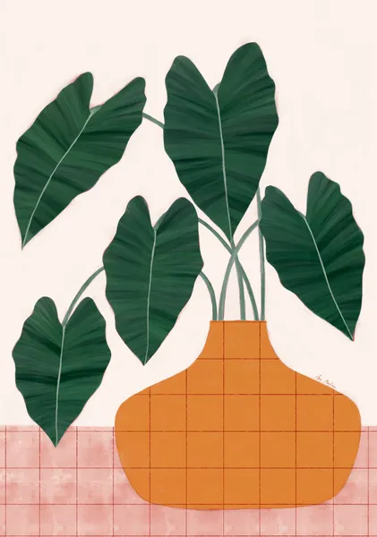 Alocasia plant - El buen limón