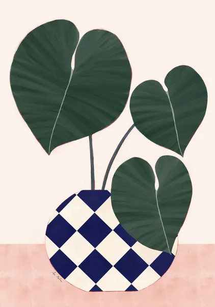 Philodendron in a Diamond-Patterned Vase - El buen limón