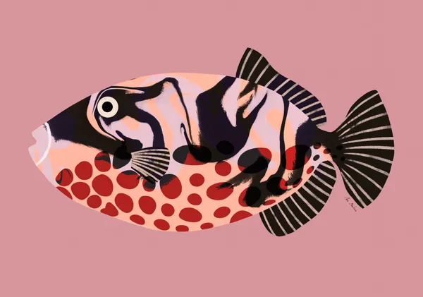 Tropical triggerfish - El buen limon
