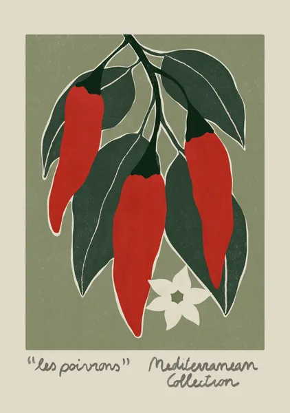 Mediterranean collection - les poivrons - El buen limon