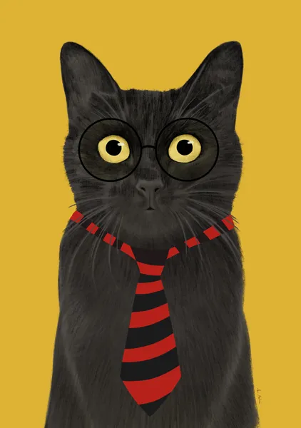 Black cat - El buen limon