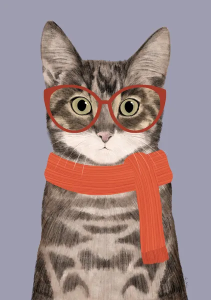Cat with a scarf - El buen limon