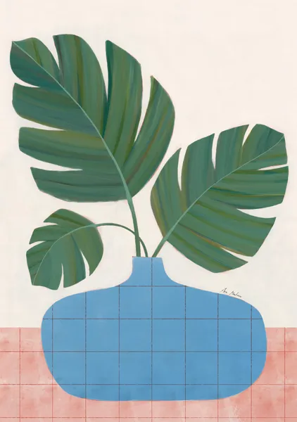 Monstera plant - El buen limón