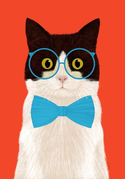 Cat with a bow tie - El buen limon