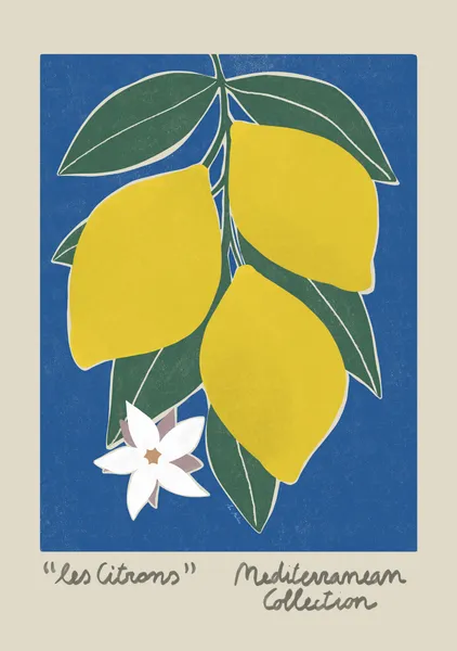 Mediterranean collection - les citrons - El buen limon