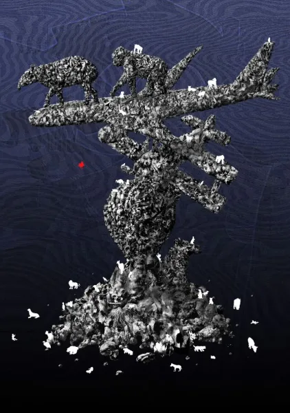 White Shadows - Takayoshi Ueda