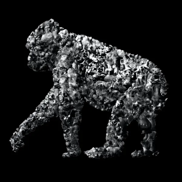 SINGLE-MINDEDLY #1 Gorilla - Takayoshi Ueda