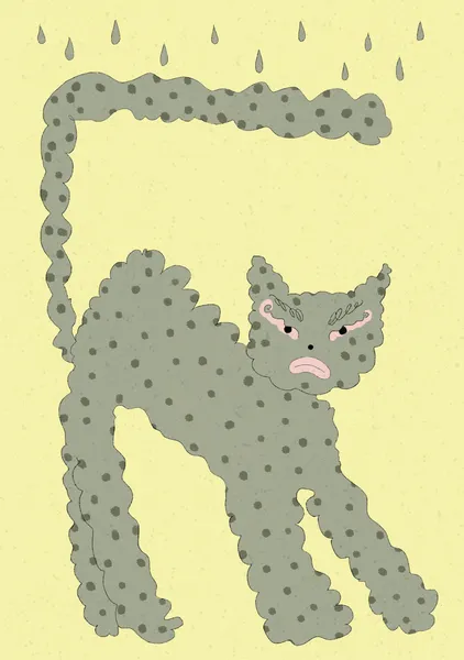 Angry cat - Reka Matyas