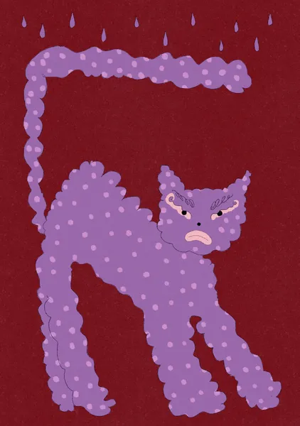 Angry cat - Reka Matyas