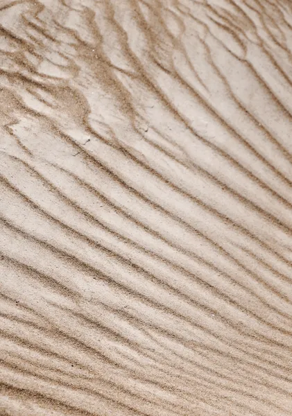 Sand Ripple Texture - Michal Marko