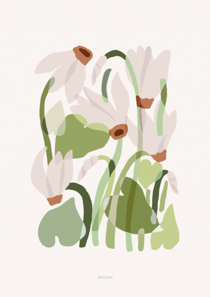 Cyclamen - Michal Marko