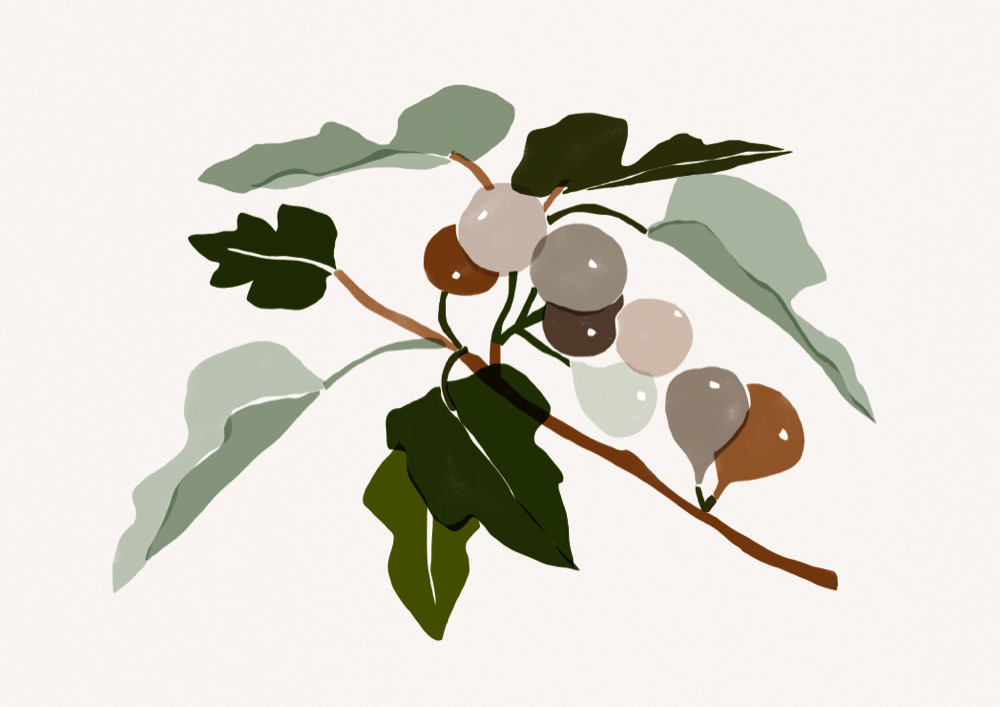 Fig Branch - Michal Marko