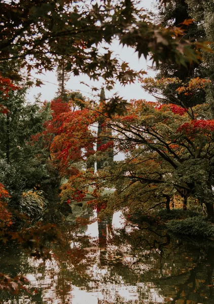 Reflections on the Pond - Michal Marko
