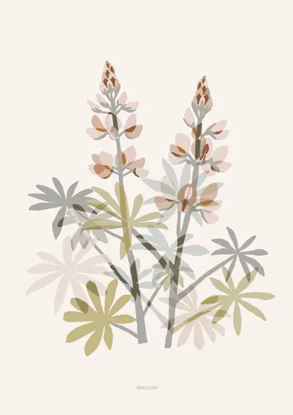 Soft Lupine - Michal Marko
