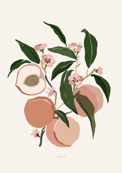 Peach Branch - Michal Marko