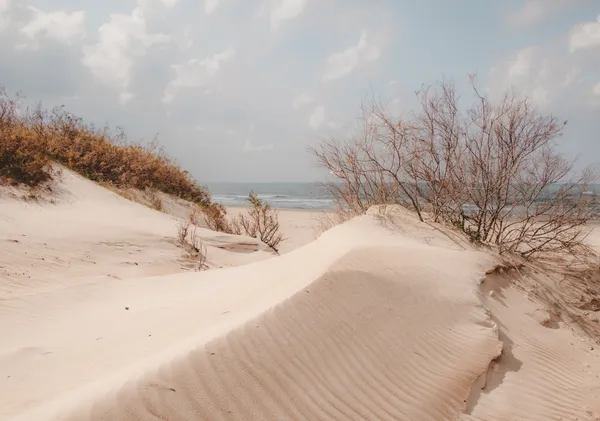 Dune Path to the Sea - Horizontal - Michal Marko