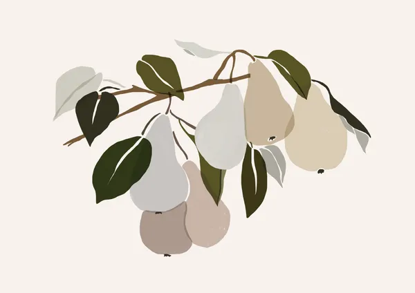Pear Branch - Michal Marko