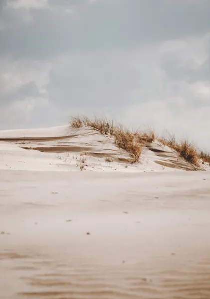 Grass-Crowned Dune - Michal Marko