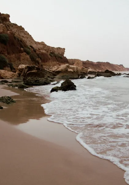 Rocky Cove Shoreline - Michal Marko