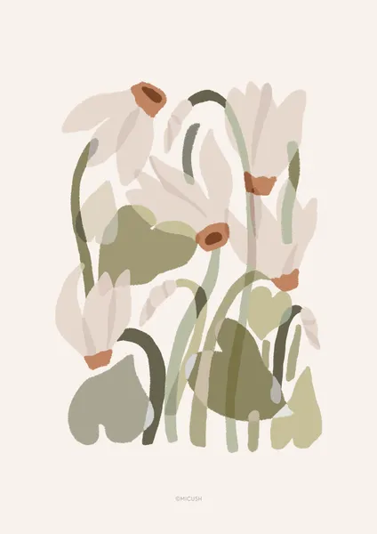 Cyclamen - Michal Marko