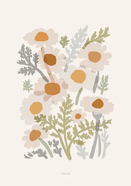  Common Chamomile - Michal Marko