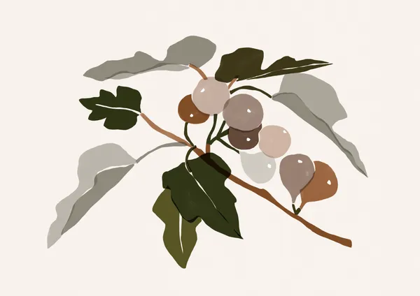 Fig Branch - Michal Marko
