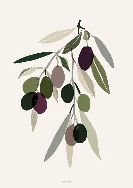 Olive Branch - Michal Marko