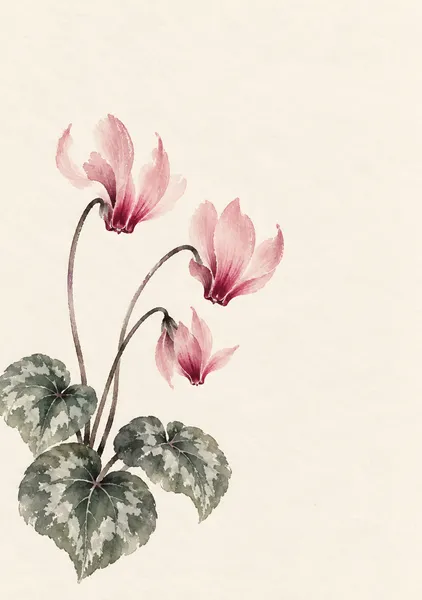 シクラメンの灯 — 薄紅と墨の冬花 - 墨一筆