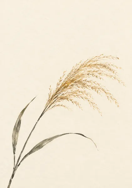 薄のひと穂 — 麦色と墨の秋風 - 墨一筆
