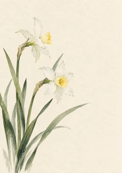 水仙の朝 — 青磁と薄黄の花 - 墨一筆