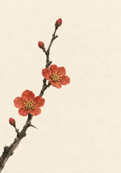 木瓜の朱点 — 墨枝と春の花 - 墨一筆