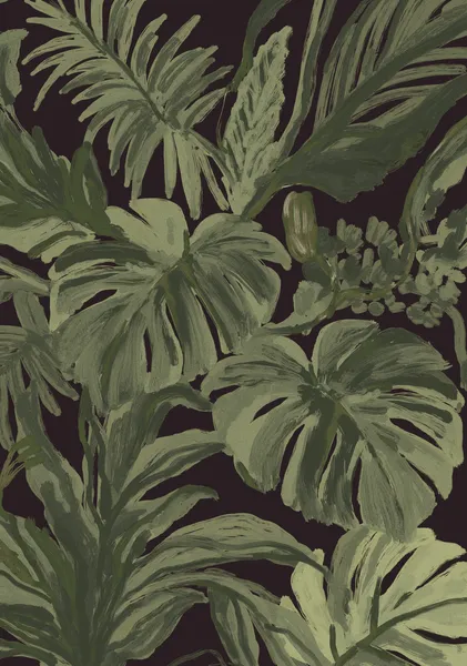 Monstera Nocturne - DOXOLOGY
