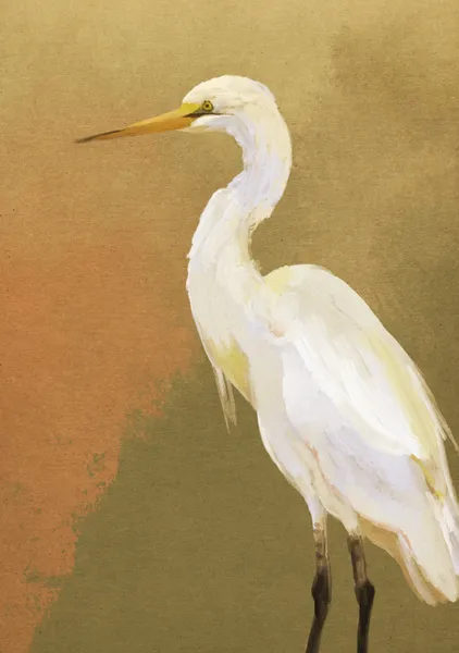 Solitary Great Egret - DOXOLOGY