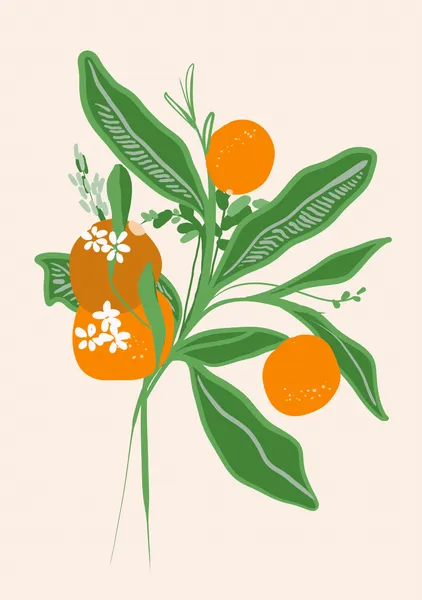 Minimalist Citrus Branch Illustration - DOXOLOGY