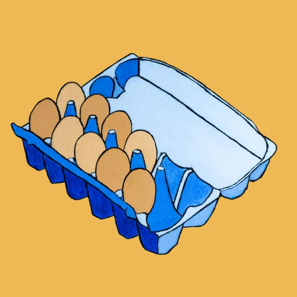 Free-range Organic Eggs - Steve Munro