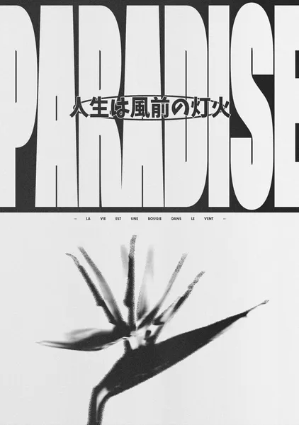 PARADISE - RIM Atelier