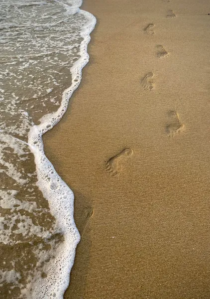 Footprints - 大藪順子