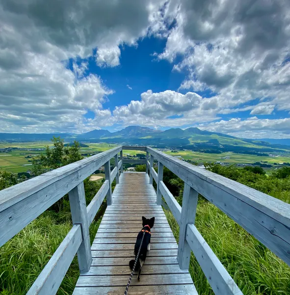 Bridge to the Sky - 大藪順子