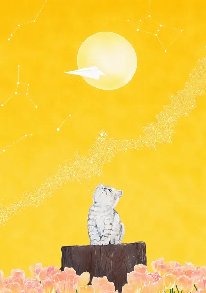 月に願いを| Wish Upon the Moon - Megu