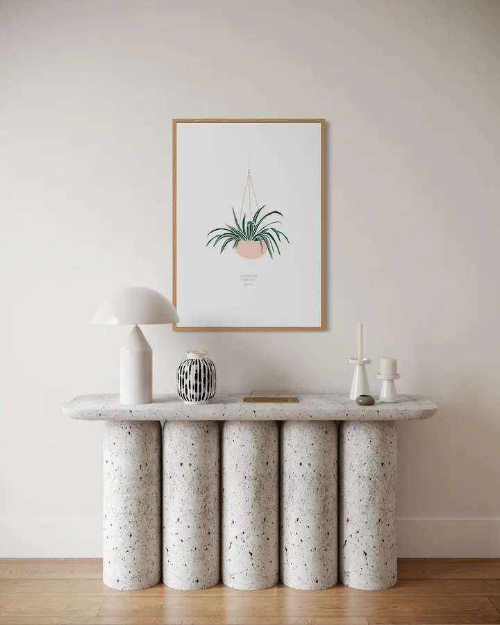 Hanging Spider Plant