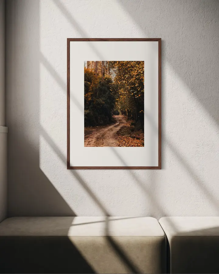 Golden Forest Trail - Michal Marko